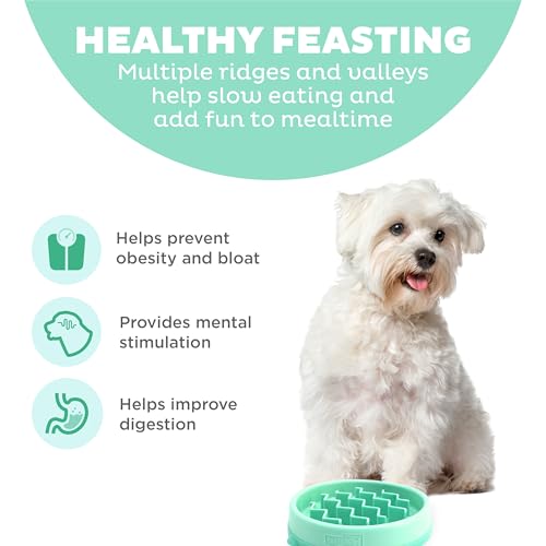 Outward Hound Puppy Slow Feeder Dog Bowl - Also suitable for Cats - Makes Meal Time Fun, Slows Down Eating, Promotes Healthy Digestion, Prevents Bloat | Slip Resistant and Durable, Size Small (Mint) - Image 3