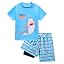 Blue Shark