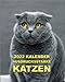 2022 Kalender Ausdrucksstarke Katzen: Montag-Sonntag mit Bildern von lustigen Felinen; mit Feldern für Finanzen und wichtige Termine