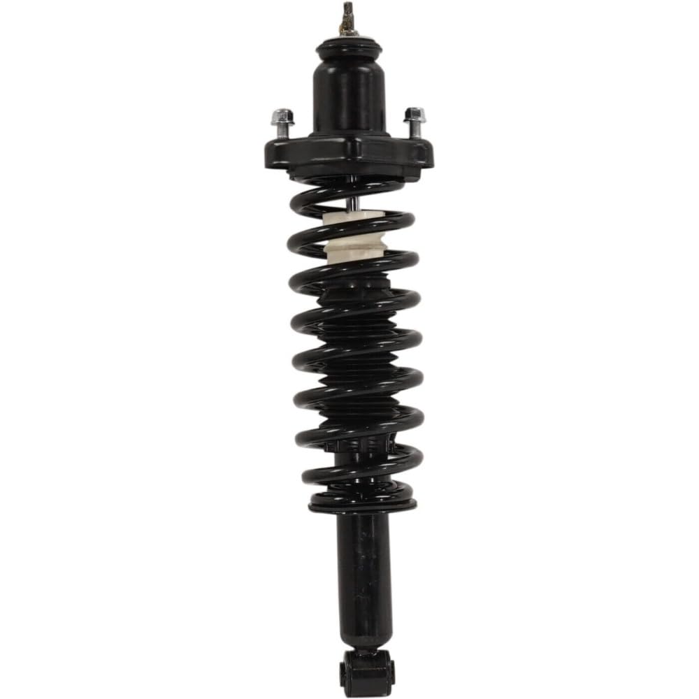 Amazon.com: DUST GLOW Suspension Shock Absorber and Strut and  