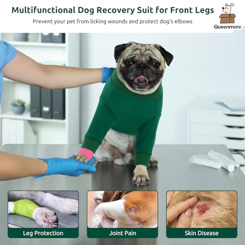 Image of Queenmore Dog Recovery Suit for Front Legs, Adjustable Dog Leg Sleeves to Stop Licking, Breathable Recovery Sleeve for Large Breeds, Wound Care for Pets, Green, L