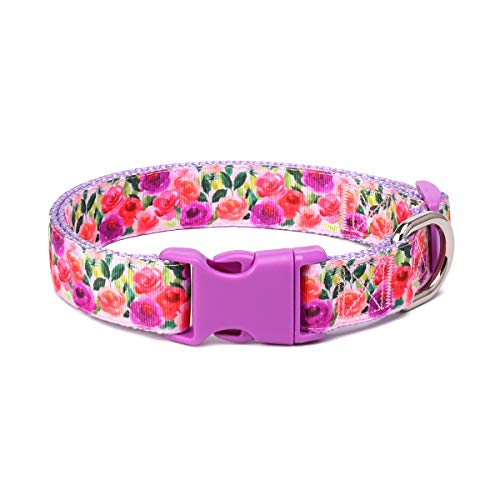 waaag Haustierartikel, (Ich Liebe Dich) Katzenhalsband, Hundehalsband, Katzenleine, Hundeleine, Katzengeschirr, Hundegeschirr, Hundehalsband für mittelgroße Hunde (Halsbänder, M) Cover