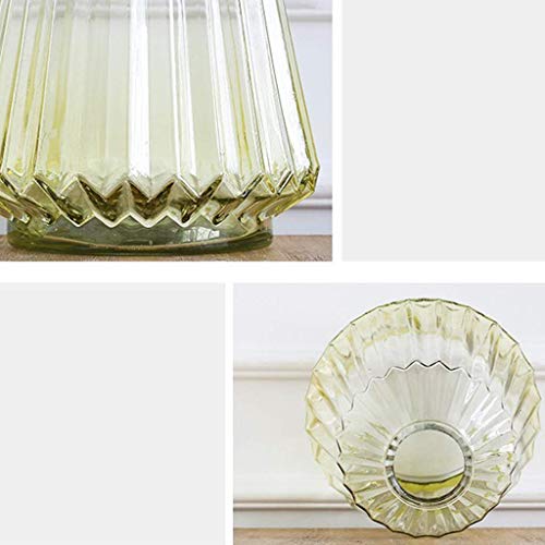 Arrangeur de fleurs MU style américain en verre net