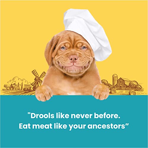 Image of Barkbutler x Dogfest Duck Fillets, Dog Treats-90g|Made with Natural Ingredients|0% Artificial Flavors, Colours or Preservatives|Main Ingredient is Meat|Select Grade|for All Adult Breeds