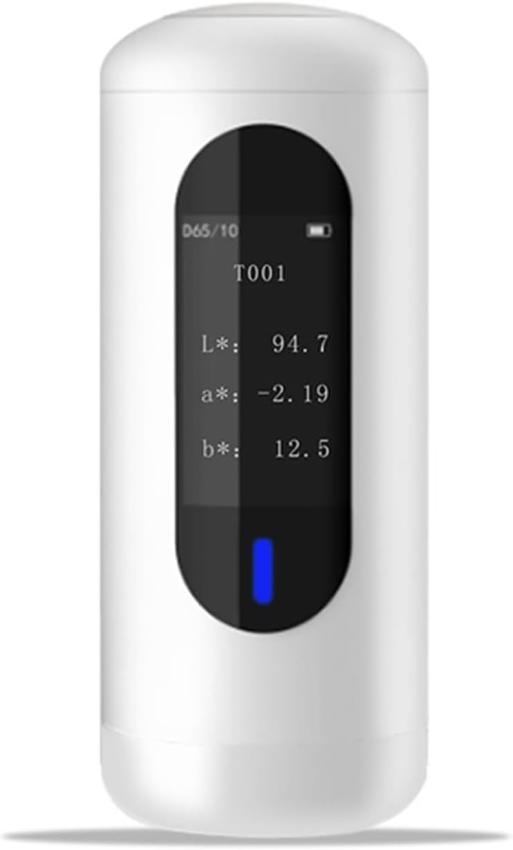山崎修 「ラパナジル モンマルトル画」 油彩 F20 額装 在フランス実力