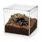 Terrarium Akrylowe HAPPET 23 × 16 × 14 cm – Przezroczyste Terrarium z Magnetycznym Zamknięciem i Wentylacją dla Pająków, Owadów, Gadów i Płazów, Pojemnik Tymczasowy