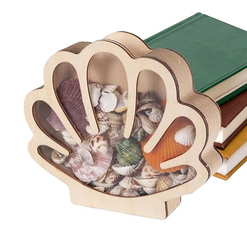 Étagère décorative pour bagues et boîte de présentation coquillages - 7