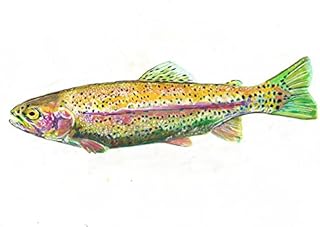 Trout Fishing Gift - Fly Fishing Wall Art Print, Rainbow Trout Art, Hand Signed By Jack Tarpon, Fly Fisherman Wall Art.