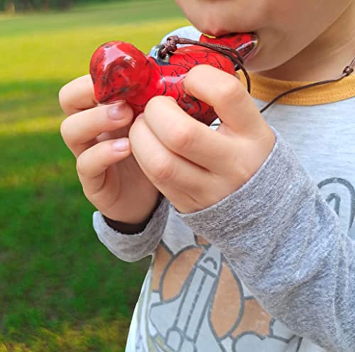 Ocarina 6 Hole, Ceramic Ocarina Gift For Kids & Beginners, Cute And Easy To Play Brid Ocarinas (Red Bird) #TOP3
