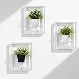 AceOrbit 3 Pcs Wall Plant Holder Window Wooden Plant Shelves Photo Frame Planters Pot Holder Indoor Planters Wall Hanging Flower Pot Rack for Home Living Room Bedroom Entrance(Distressed White)