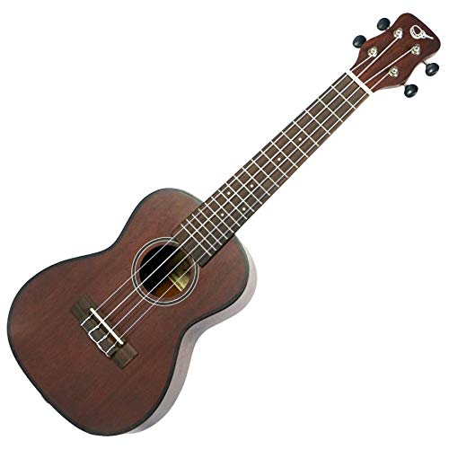 Journey Instruments UC310E Traveling Concert-Size Ukulele cover