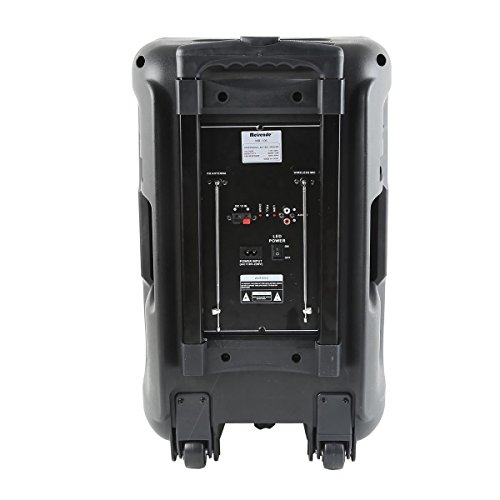 Tengchang Pro 12" Series Speaker Karaoke Machine DJ PA System Bluetooth Dual with Wireless Mics