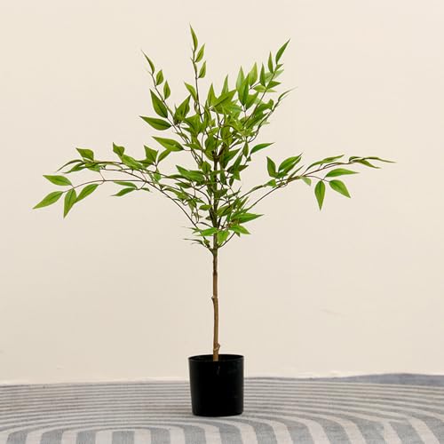 [LJKI] ou[ |  k [bp c[ I[ig  j ^ 210cm lHϗtA R h tFCNO[ sv ͂Ȃ Ύ  ϗA bsv Ƃ̒ɒu  ItBX A A