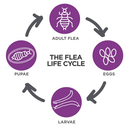 Tevrapet 70 Actispot Ii Flea Treatment For Small And Medium Cats 5-9 Lbs thumb #2