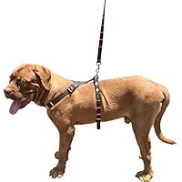 Carlos Diaz Polo de cuero genuino encerado bordado a juego de perro fácil control sin tirar atrás arnés y plomo Set L