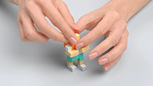 Amazon.com: PIXIO Happy Family - Magnetic Building Blocks for Kids