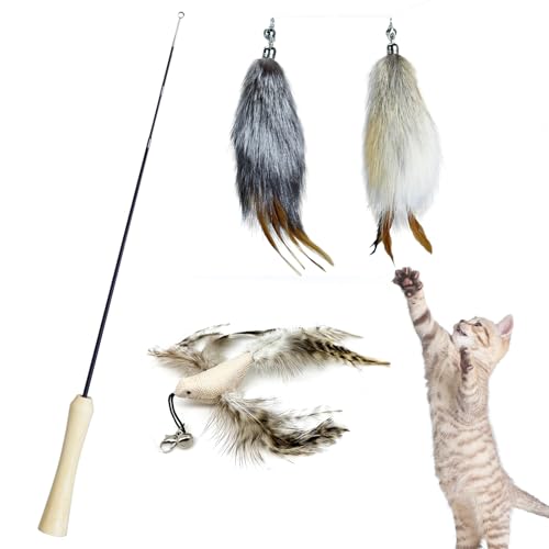 L  L炵 Lk106cmؐnh LclтƉĤ2ƒ^1t ˂炵 ^s LVѓ