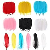 Tamaño de las plumas: 15-20 CM, se puede utilizar en varios proyectos de manualidades de bricolaje.