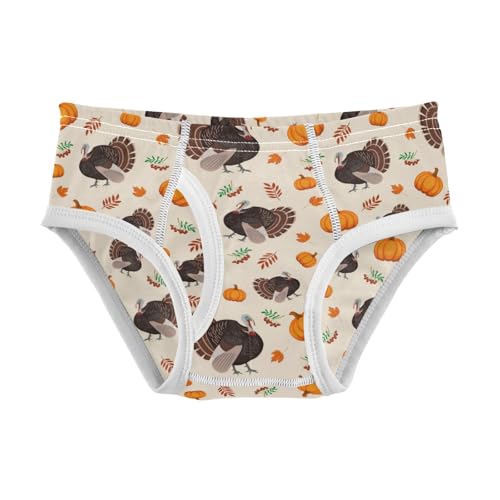Boys' Exclusive Briefs Toddler Underwear 95% Combed Cotton Boxerbriefs 2T Thanksgiving Turkey Pumpkin 83