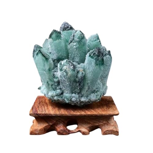 VR  u  򉻗p z W{ Ϗܗp   J^ p  z[ ObY NX}X VN v[g/Mtg/ItBXrOANZT[ (310~400 g+x[X,O[) [sAi]