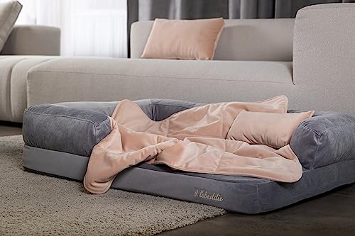 Panier orthopédique lavable anti-odeur pour chien sensible gris