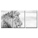wall26 - 3 Piece Canvas Wall Art - Side Profile of a Lion in Black and White in The Kruger National...