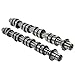 Camshaft Left and Right 5L1Z6250AA Replacement for Ford Expedition Explorer Mustang Lincoln Mark LT Mercury Mountaineer 4.6L 5.4L 5L1Z6250BB Engine Camshafts