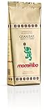 Drago Mocambo