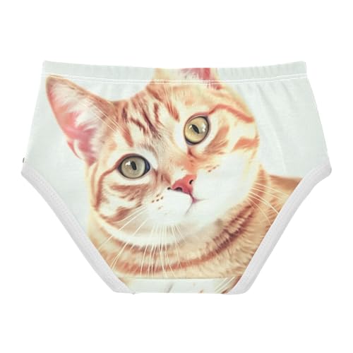 Cute Cat Panties for Girl Toddler Underwear Floral Cotton Fun Kids Briefs Undies 2t2