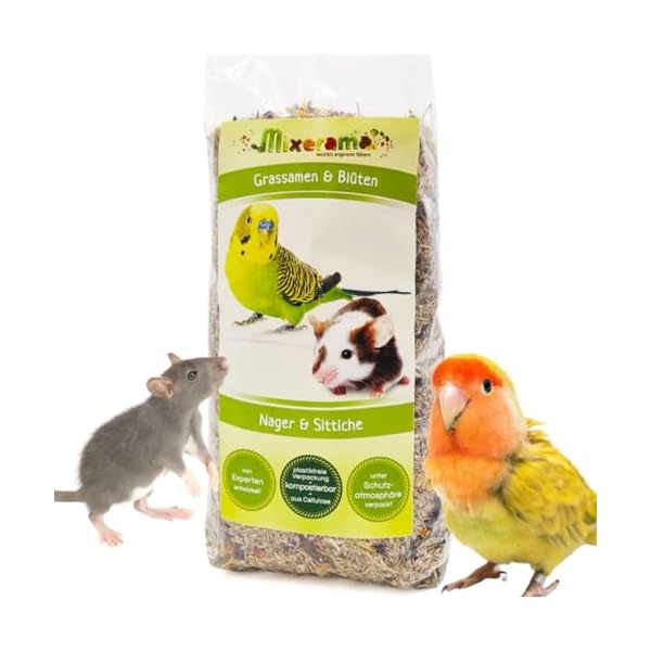 Mixerama Grassamen & Blüten - Ergänzung zum Futter für Ratten Mäuse Zwerghamster und Sittiche