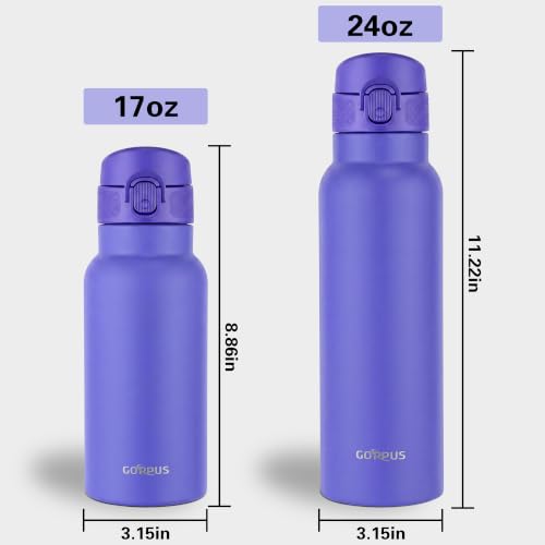 Image of GOPPUS 25 oz Insulated Water Bottle with Direct-Drink Lid,Keep Cold 24H,Leak-Proof Stainless Steel Bottle Ideal for the Gym,Travel,and Outdoor Use,Suitable for Teens and Adults（Purple）