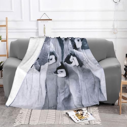 Couverture en flanelle pingouin pour soirées cocooning sur canapé