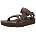 Rainforest Brown