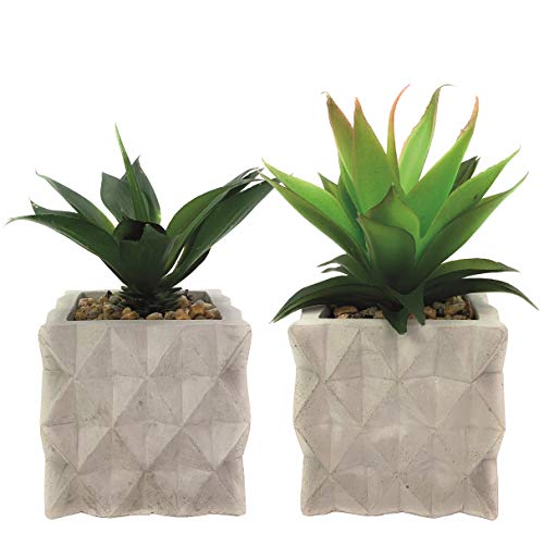 Symmetric Matrix Artificial Plants in Cement Pots, Set of 2 - Realistic Faux