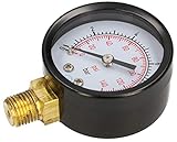 KOTARBAU® 0-10 Bar Manometer Seitenanschluss Gewinde 1/4