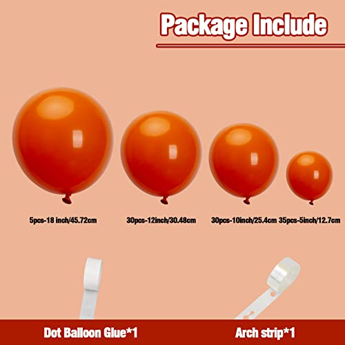 100Pcs Orange Balloons Difference Size 5/10/12/18 Inch Orange Balloon Garland For Theme Party Decoration, Little Cute Baby Shower Kid's Birthday Party, Halloween Balloons, Thanksgiving Day Supplies #TOP4