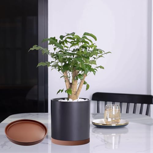 Yukfona Ceramic Plant Saucer Tray 2 Pcs 6.4 Inch Brown, 6.4" OD x6.02 ID x0.9 Deep| Fits flower pots Bottom≤ 6.02", Heavy Duty Glazed Round Planter Drip with Catch Basin for Indoor Outdoor Plants by Yukfona - Used condition - Image 3