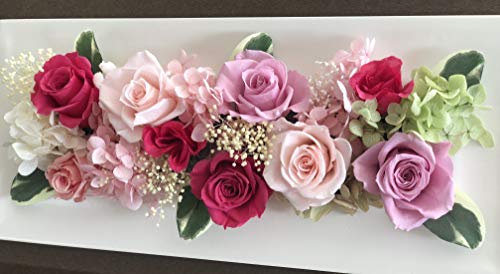 PURIZA vU[uht[ Ǌ| N^O sNn NAP[Xt a  a t[ PURIZA AWg ԃMtg  j CeA Vzj ސEj JXj JƏj