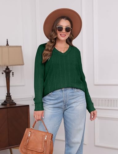 Image of WIHOLL V Neck Long Sleeve Shirts for Women Casual Fall Tops Lightweight Tunic Sweaters Fashion Clothes 2024