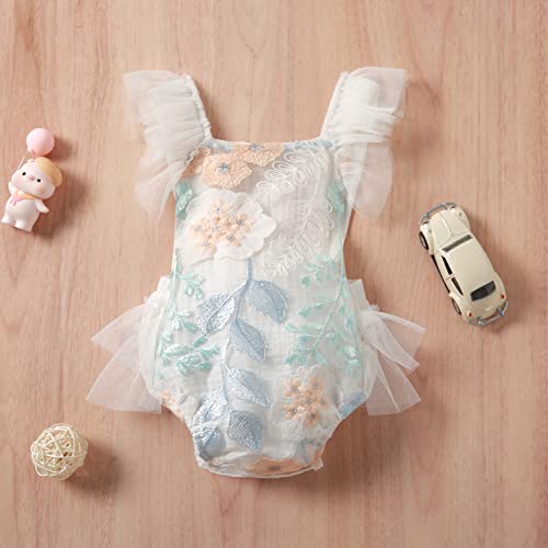 Hnyenmcko Newborn Infant Baby Girl Clothes Lace Romper Dress Ruffle Sleeveless Backless Jumpsuit Tassel Bodysuit Summer Outfit (Embroidered White, 6-12 Months) #TOP1