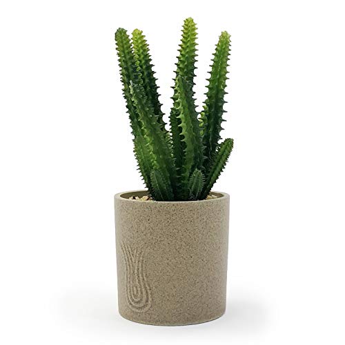 Allgala Small Desktop Artificial Succulent Plant With Natural Clay Pot #TOP1