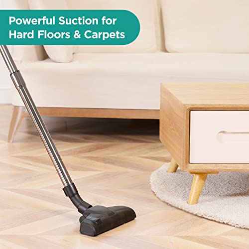 Eureka Apollo beutelloser Staubsauger, leichter Zylinderstaubsauger mit Single Cyclone System