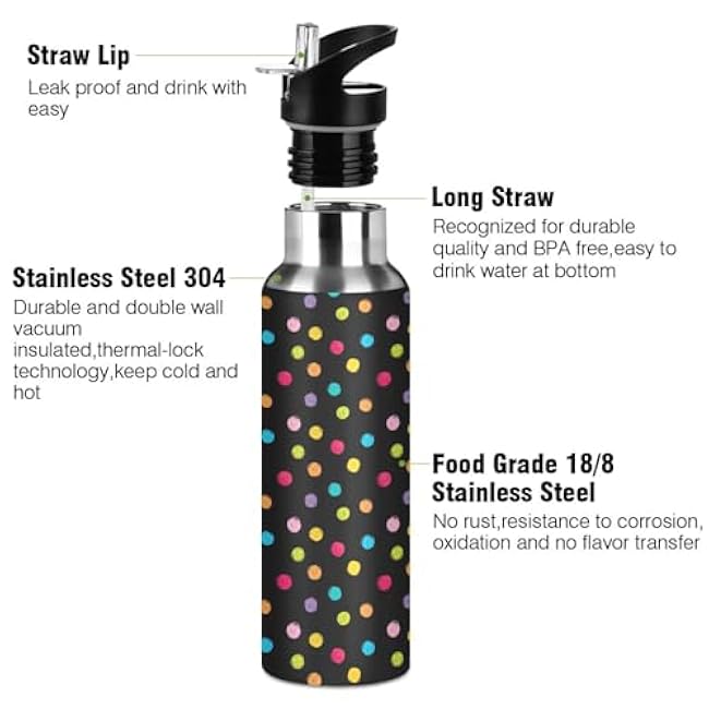 Crayon Polka Dots Black Insulated Stainless Steel Water Bottle with Straw 32 Oz Leakproof Water Bottles, BPA-Free Sports Water Bottle with Straw