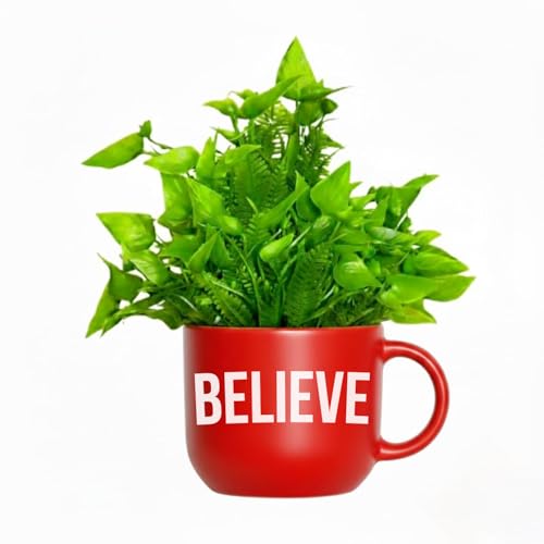 Image of Dekorly Colorful Wall-Mounted Mug Planters with Faux Greenery(20 CM)- Wall Decorative Pots for Vibrant Home & Office Decor| (3, Believe Inspire Achieve)