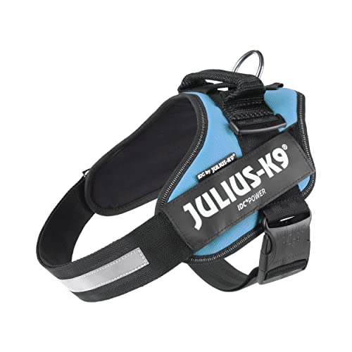 Julius-K9, Pettorina IDC Power, Taglia: L / 1, Colore: Acquamarina