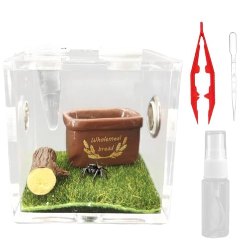 w偗peE w偎e ANZT[ ঒ރeE ANe ^hJEEJ^cE^`p X^C4