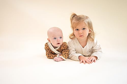 Image of Mud Pie