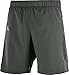 Salomon Men's Agile 2In1 Shorts