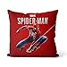 oreillers Couvre Spiderman oreillers Coussin Imprime Lin oreillers Coussin Cas canapé Coussin Cas carré décorer 50x50cm