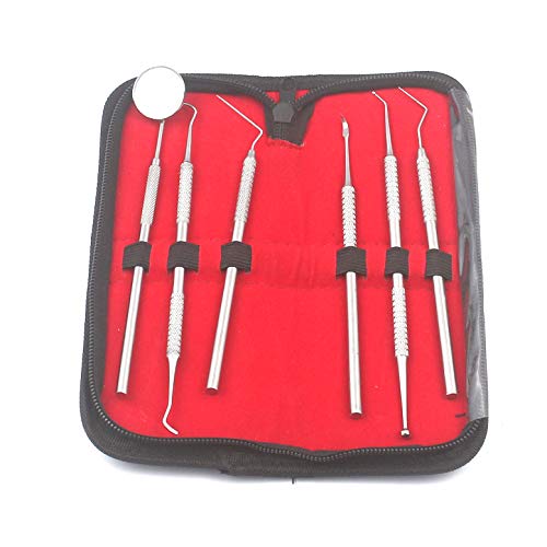 AAProTools Dental Dentist Pick Tool Kit 6 Piece Up to 8 Tools - Dentist, Dentistry & Dental Instruments Kit - Ideal Gift for Medic Students and Personal Use